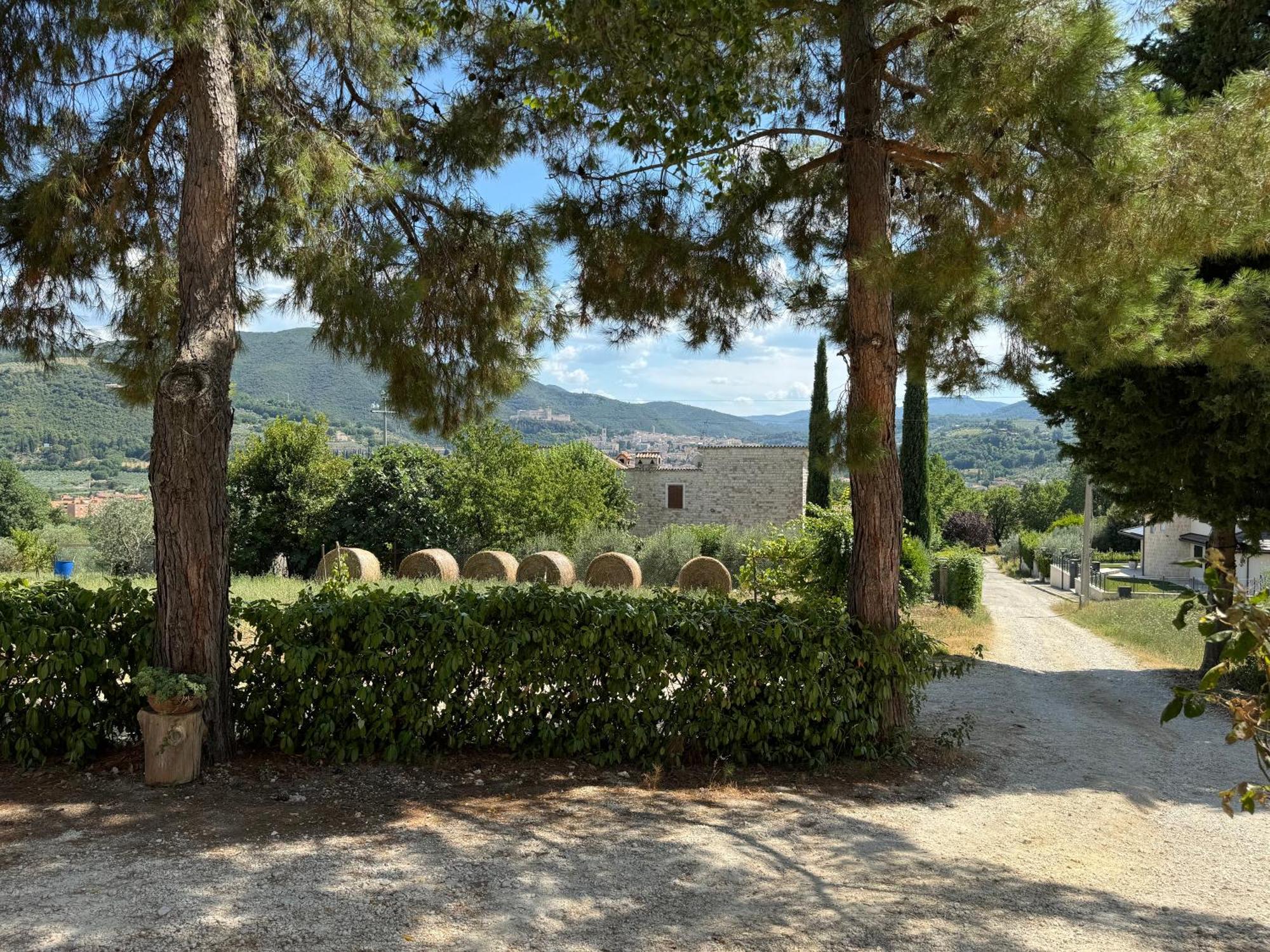 L'Antico Seminario ξενώνας Σπολέτο Εξωτερικό φωτογραφία